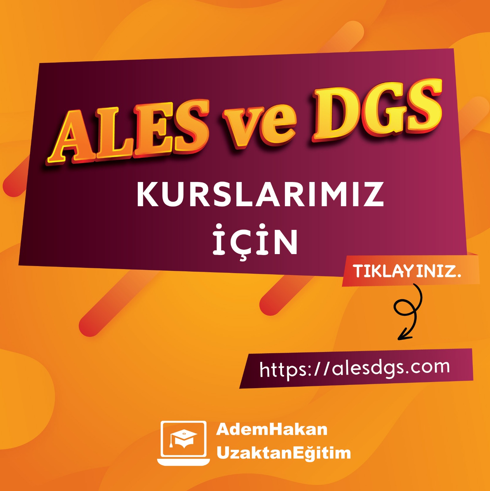 ALES / DGS